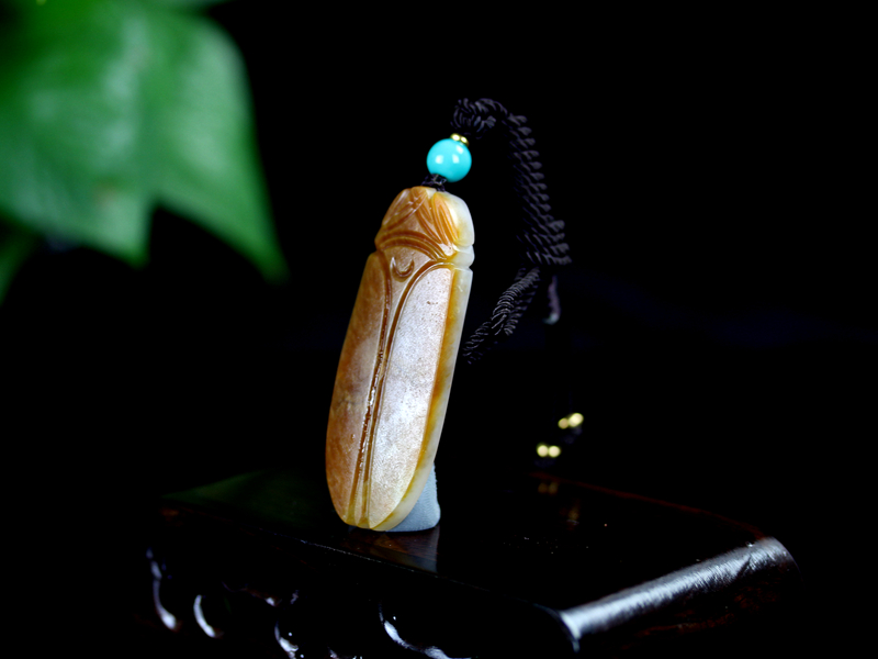 蝉