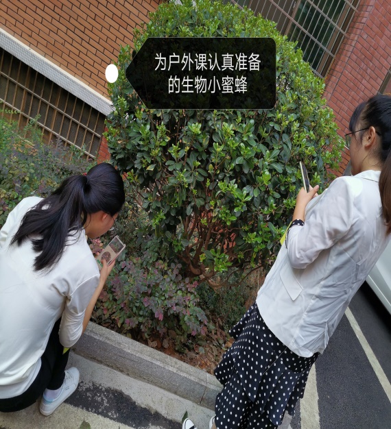 生物组户外教学准备