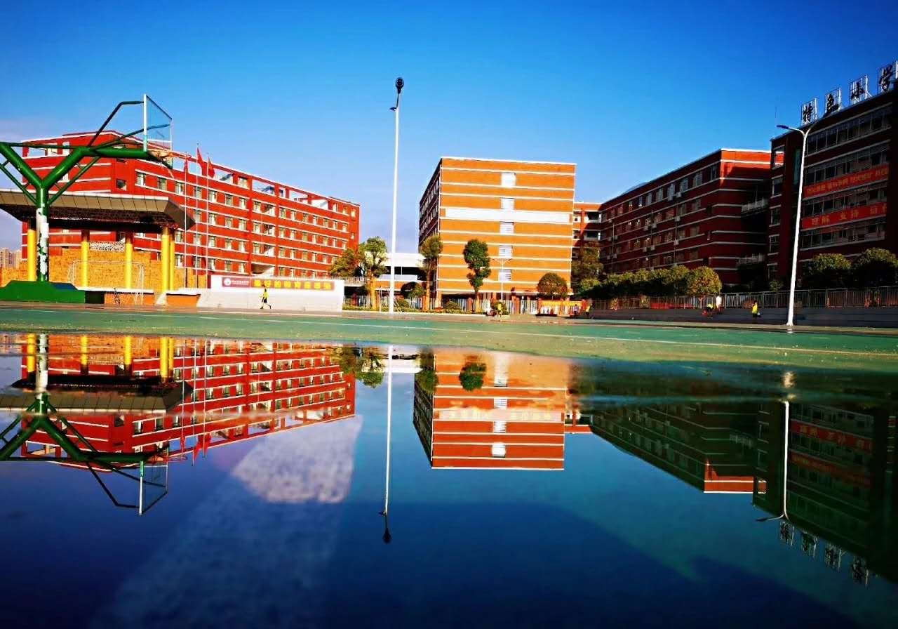 安正学校2024年秋季招生简章
