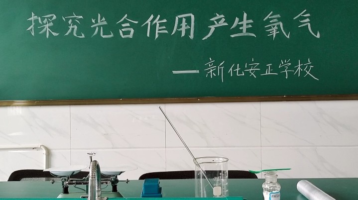 八年级生物组：为做实验争朝夕