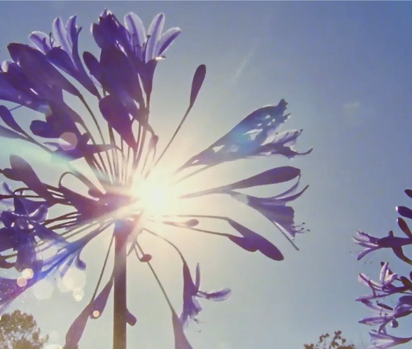 佛山水业集团排水事业部