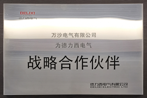 德力西戰(zhàn)略合作伙伴
