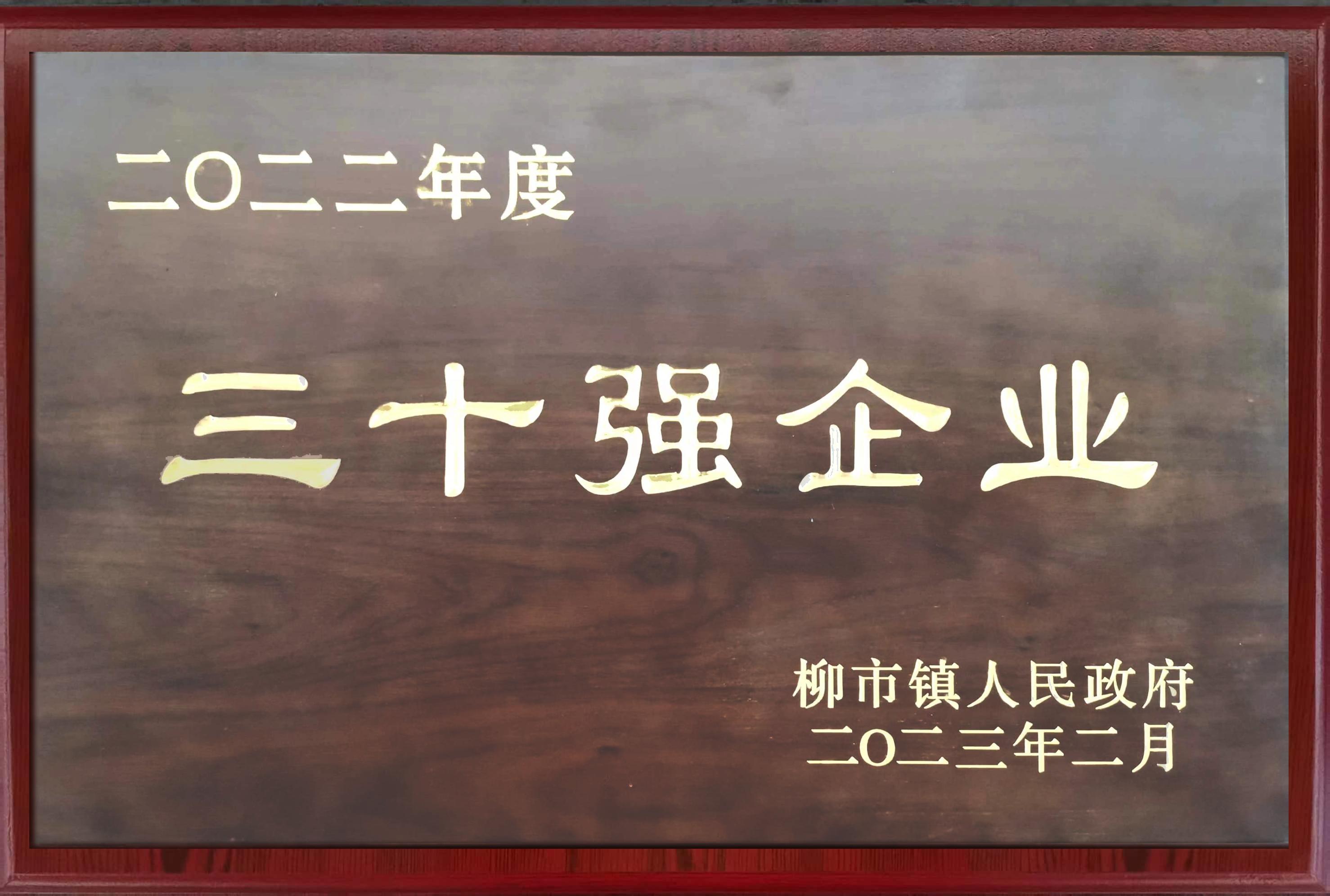 柳市鎮(zhèn)三十強(qiáng)