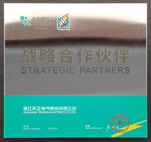天正電氣戰(zhàn)略合作伙伴