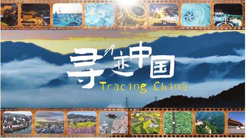 【寻迹中国】法国小姐姐带你体验：走向世界的中国新能源叉车有多智能？