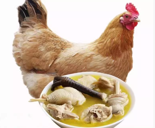 正宗太行山散养老母鸡老笨鸡老草鸡走地鸡月子鸡河南