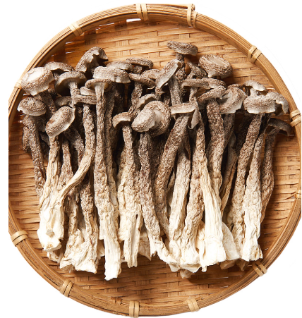 新鲜鹿茸菇干货非特级鹿茸菌云南特产煲汤脆姑蘑菇