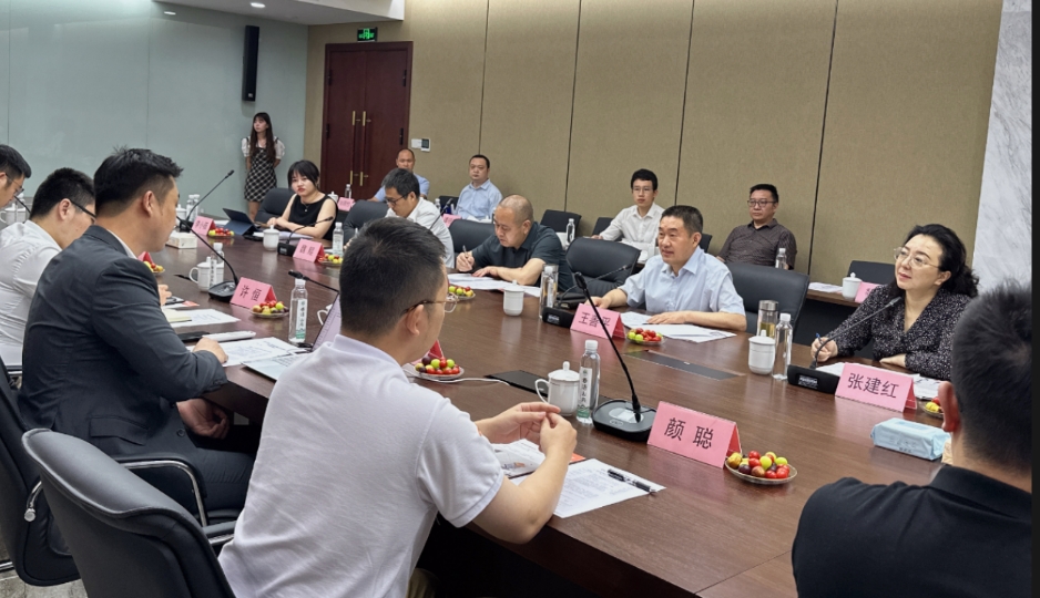 Wang Shanping, Deputy Secretary of the Ziyang Municipal Party Committee and Mayor of Sichuan Province, Visits Dongsheng Intelligent！