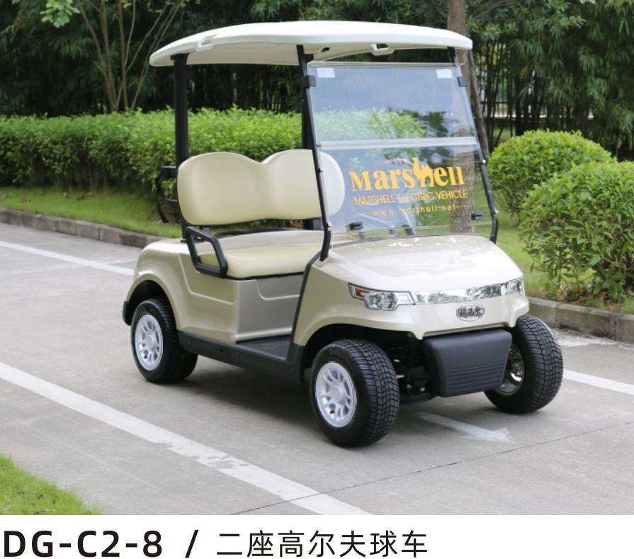 2座时尚款电动高尔夫球车