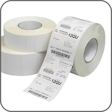 <span>Label</span>