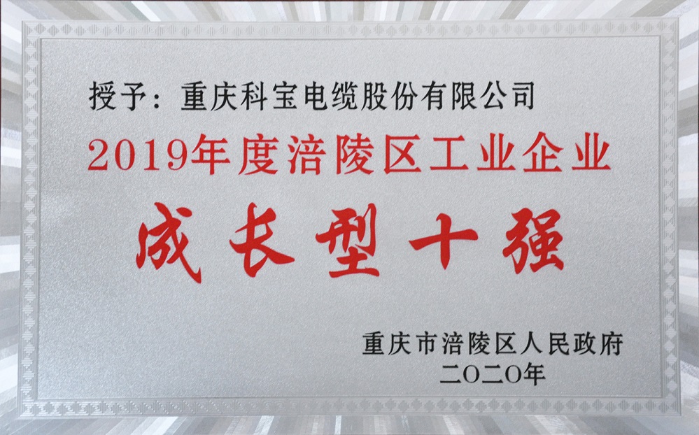 2019年度涪陵区工业企业成长型十强