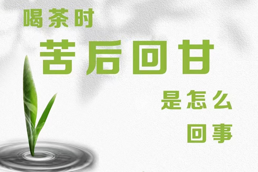 喝茶“先苦后甜”是什么原因