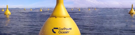 开发“全球最大的电池”