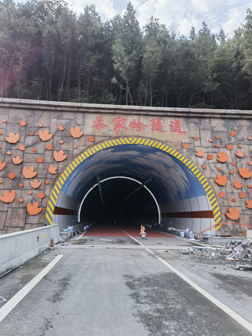 纳米硅负离子涂料