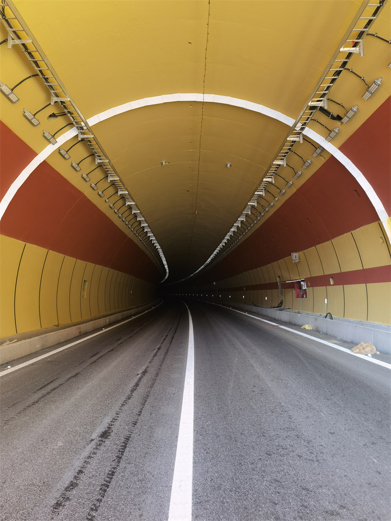 有机硅保护系统涂料