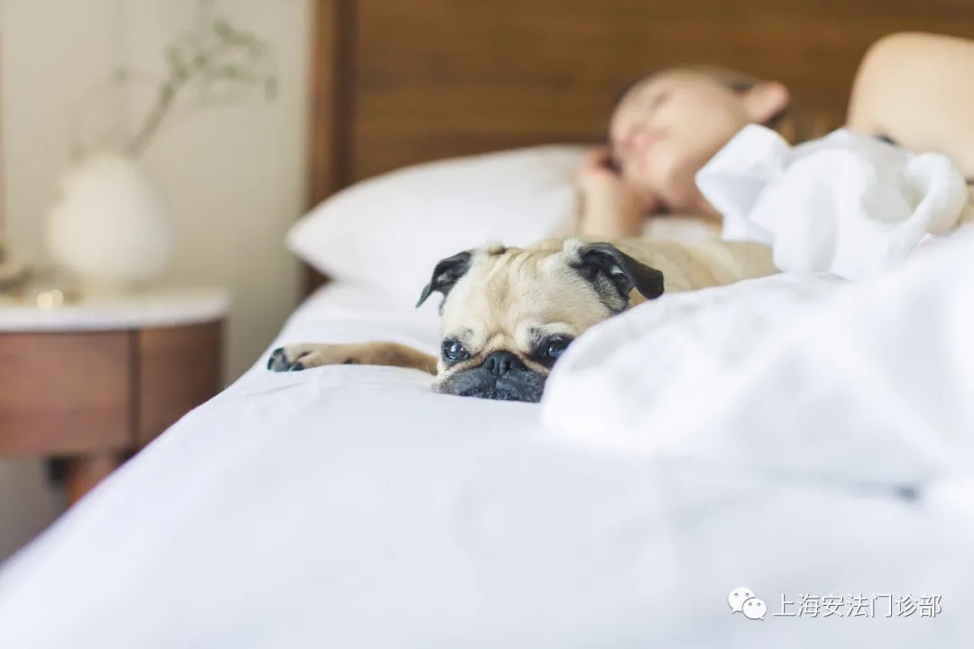 睡眠不足是老化与疾病的催化剂