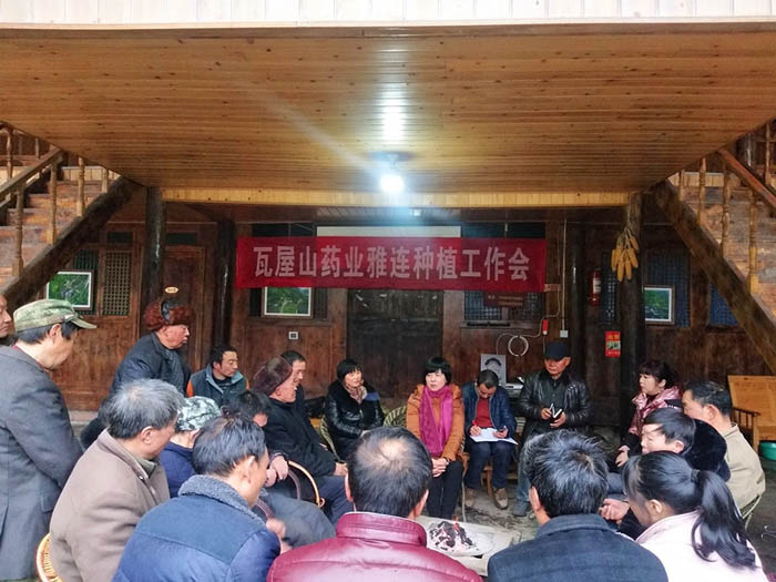 雅连生产补助结算会，乐药农