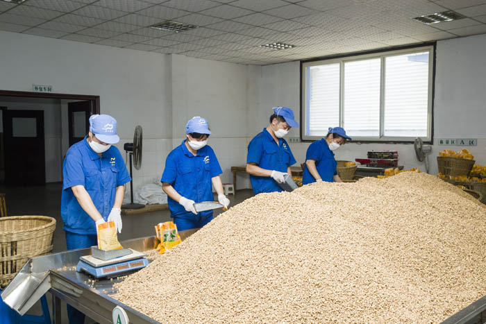洪雅县瓦屋山药业有限公司中药饮片厂