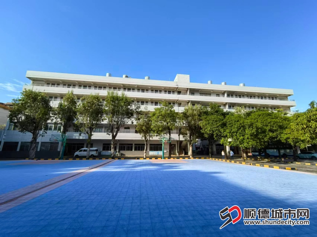 顺德业余体校：藏在“冠军摇篮”里的育人答卷