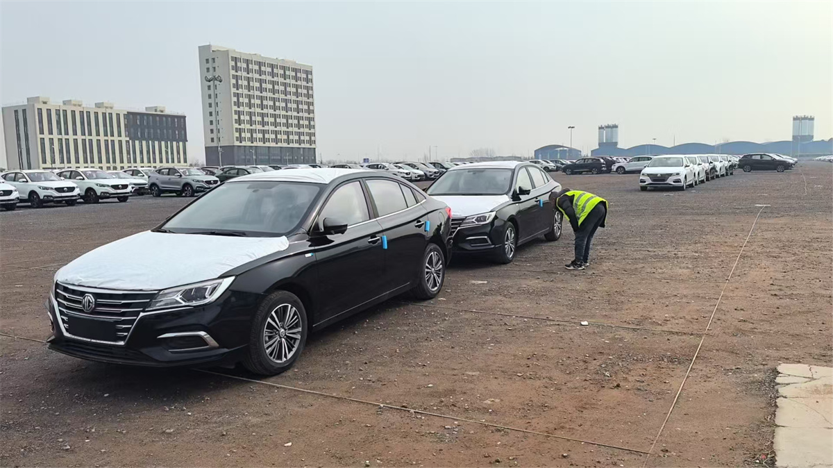 Vehicle inspection and delivery