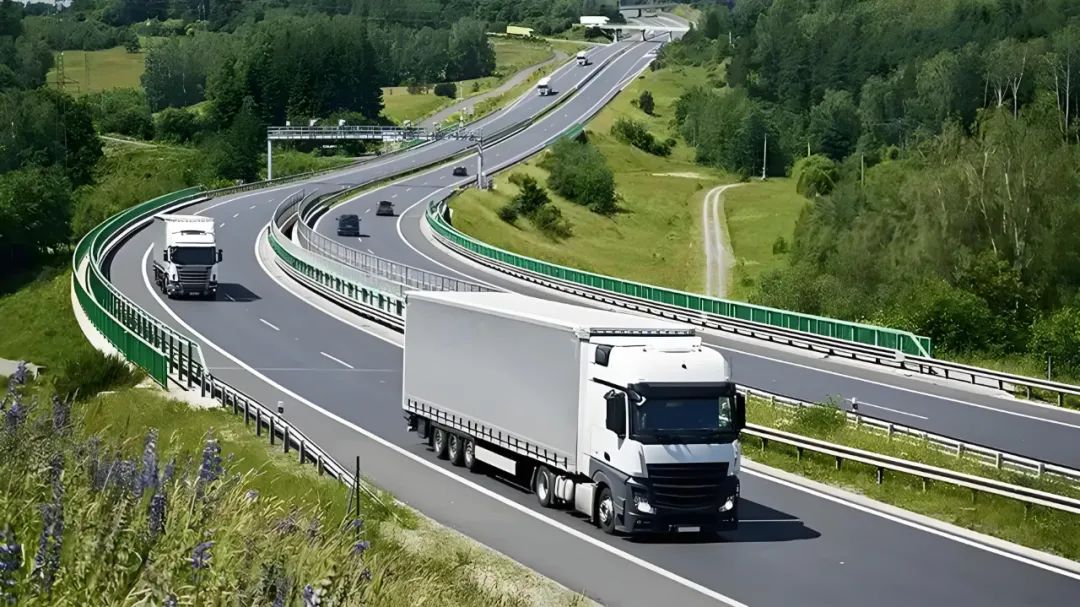 The roar of a 30-year-old logistics professional: Don