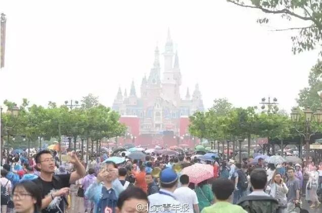 入园之后，也必须从“跑步.gif”变成“排队.jpg”