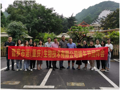 公司举行端午节团建活动