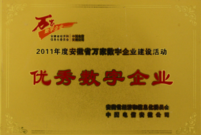 優(yōu)秀數(shù)字企業(yè)