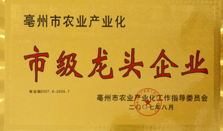 市级龙头企业