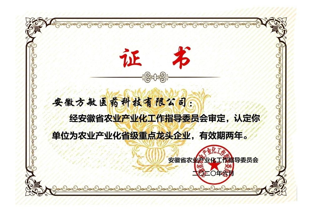 省級龍頭企業(yè)