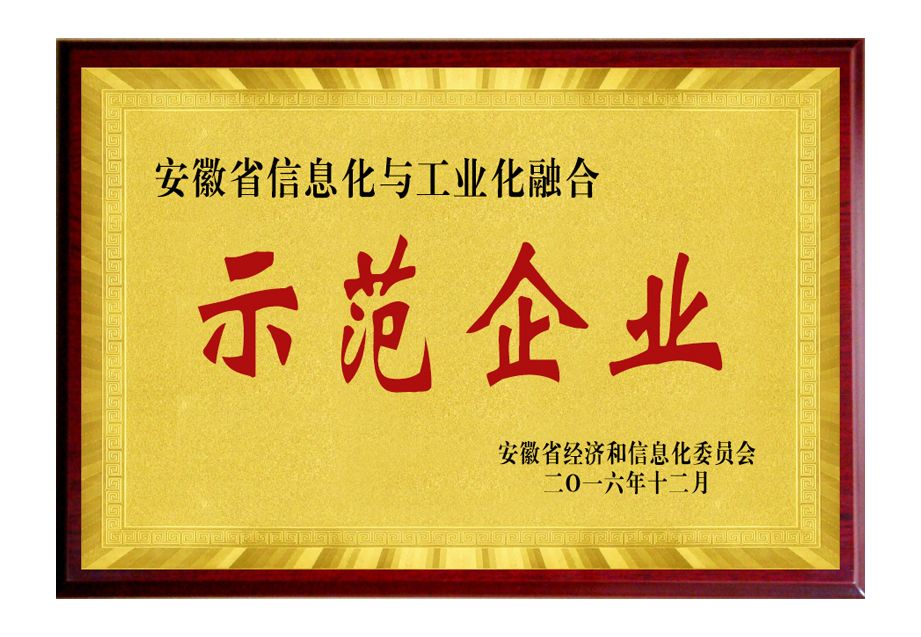 安徽信息化與工業(yè)化融合示范企業(yè)