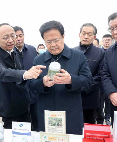 时任省委书记郑栅洁来亳调研企业发展