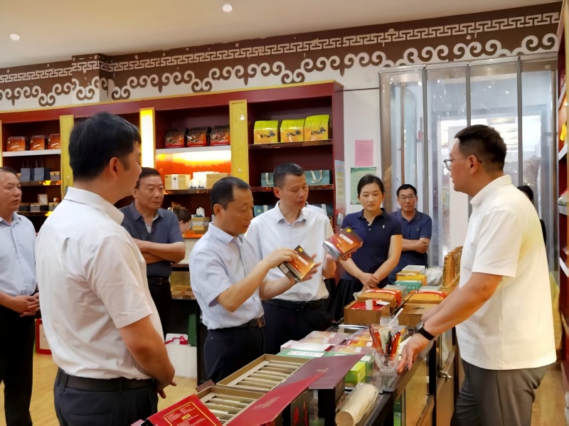 省政府领导一行调研集团