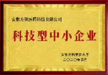 科技型中小企業(yè)