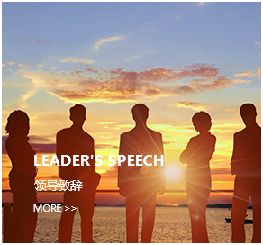 领导致辞