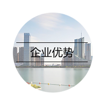 企业优势