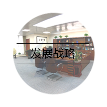 发展战略