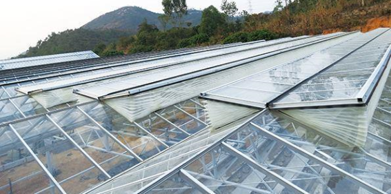 防虫网使用方法及覆盖方法