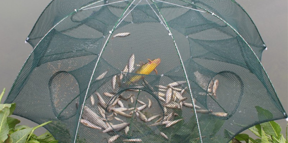 正确的飘箱贮存方法可延长使用寿命