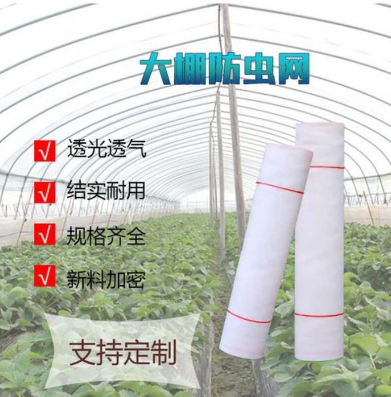 大棚防虫网