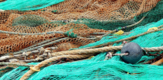 渔网质量判定需要注意什么