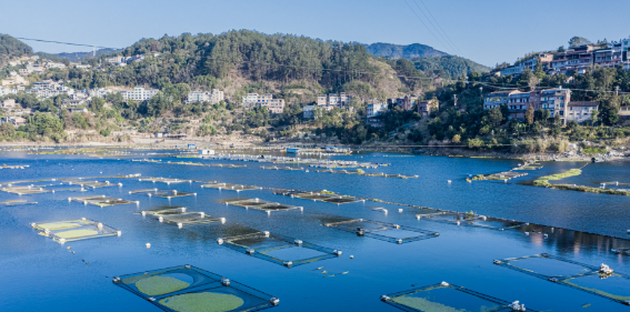 深水网箱养殖技术的七个关键点