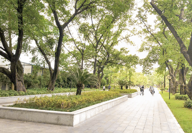 广州市临江大道延长线景观设计