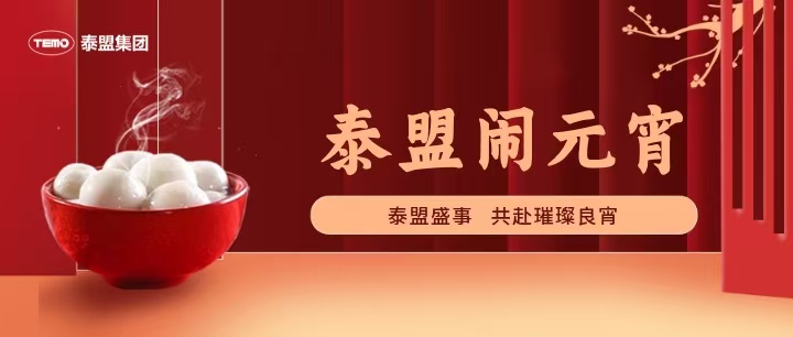 闹元宵 | 泰盟盛事，共赴璀璨良宵