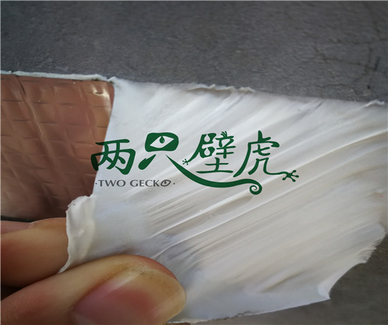 两只壁虎丁基胶带