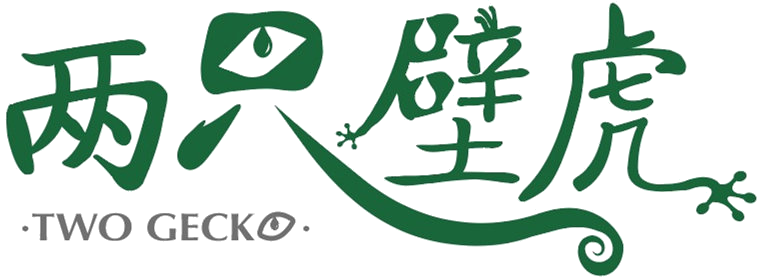 兩只壁虎新材料科技有限公司