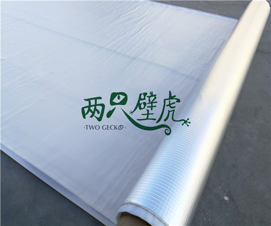 兩只壁虎丁基卷材
