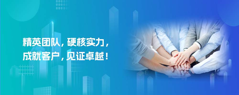 两只壁虎企业实力