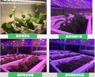 水培实验模组、雾培实验模组、基质培实验模组