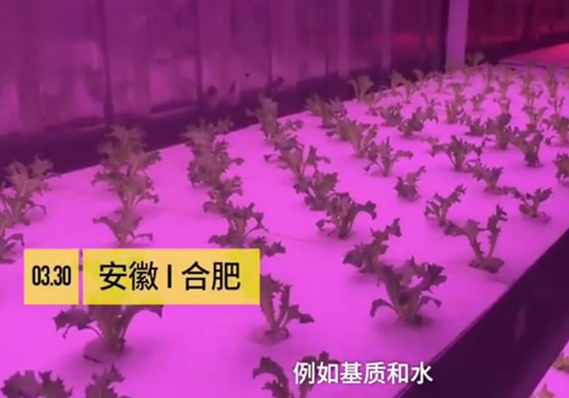 集装箱植物工厂介绍视频